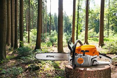 Tronçonneuse STIHL MS 261 C-M